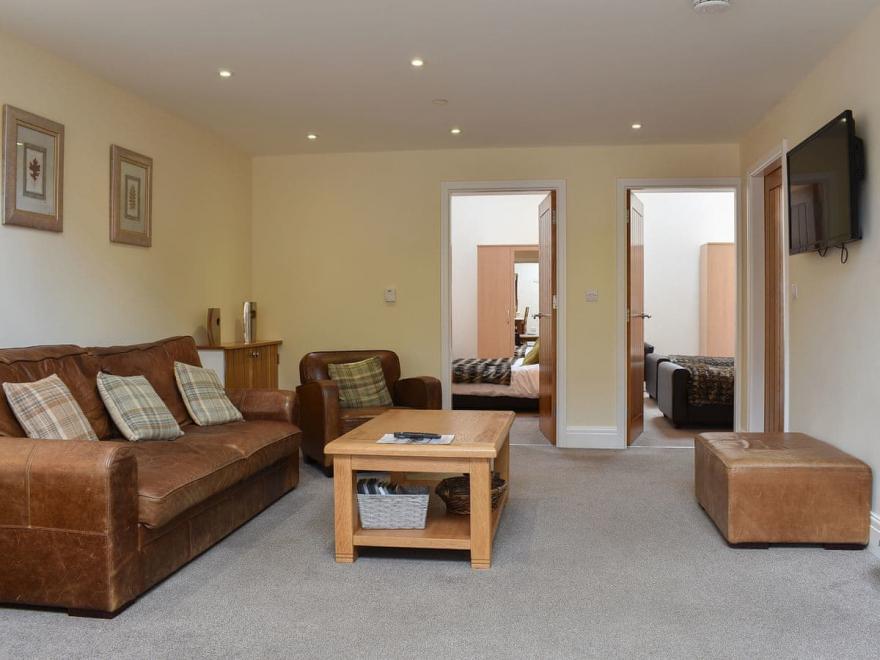 The Swooping Swallow - UK11550