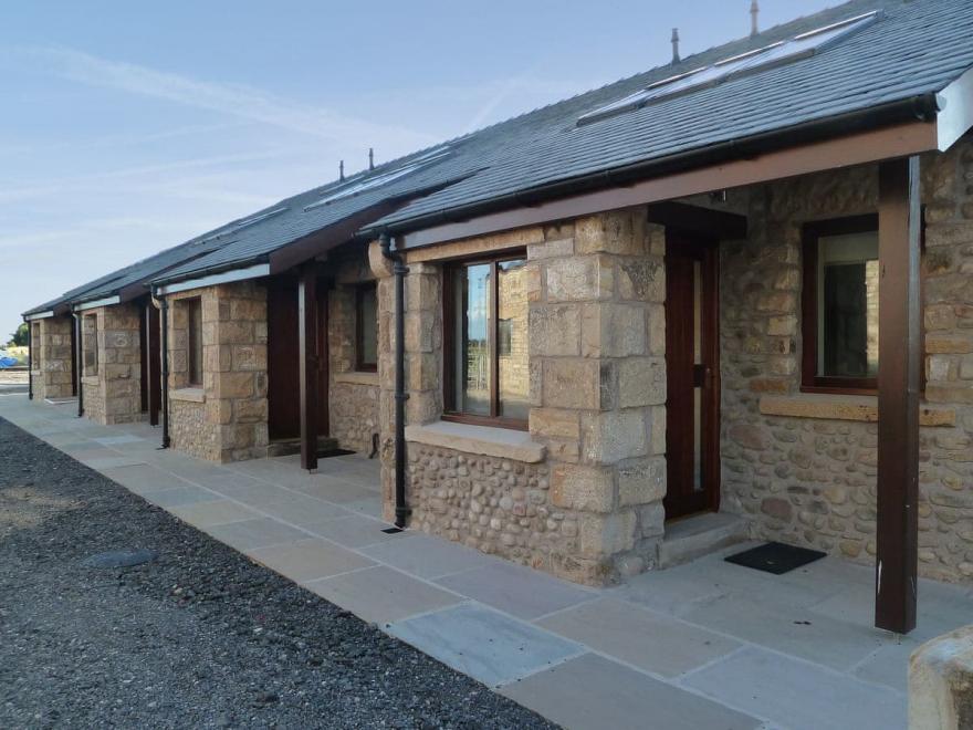 The Swooping Swallow - UK11550