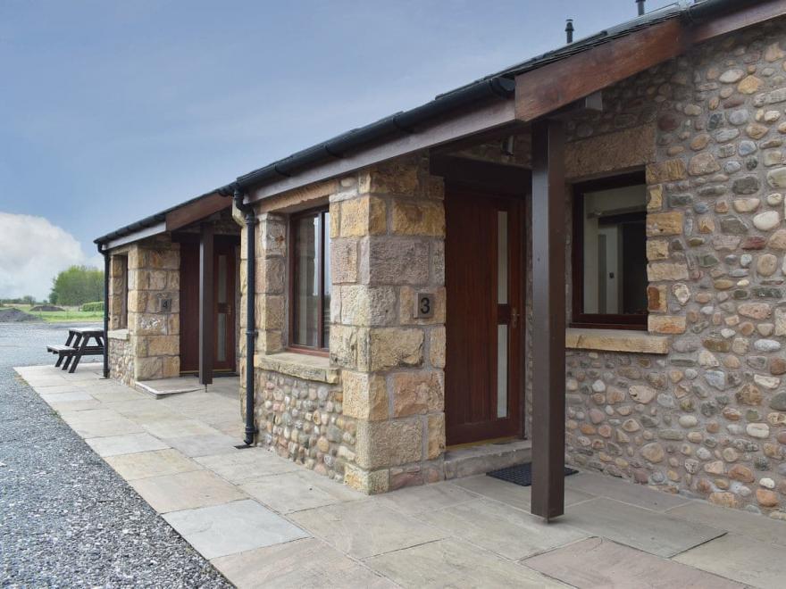 The Purple Pheasant - UK11551