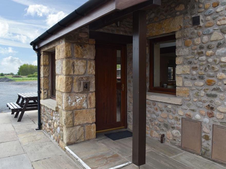 The Wild Woodpecker - UK11552