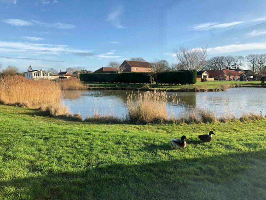 Chestnut Cottage - UK12065