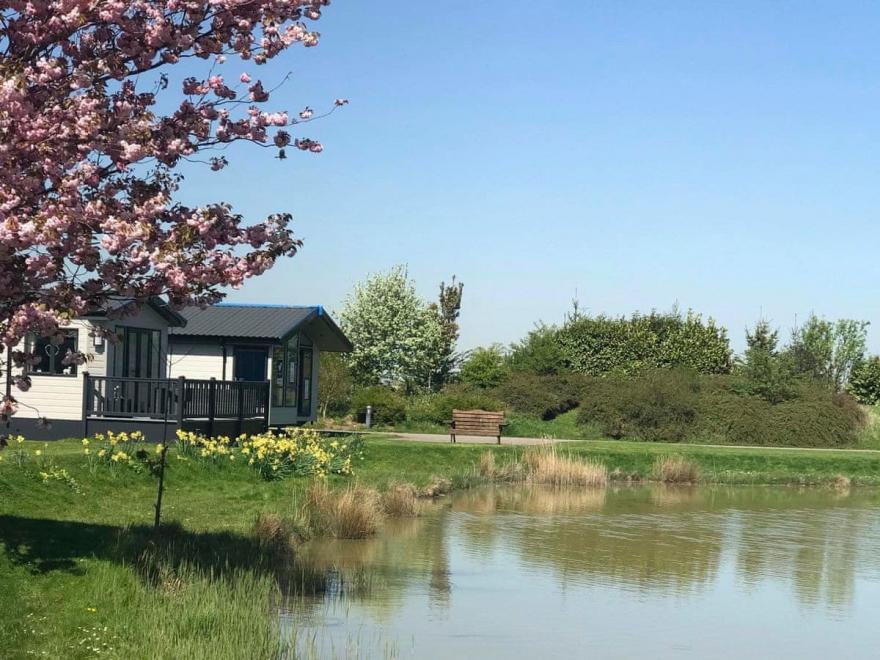 Chestnut Cottage - UK12065