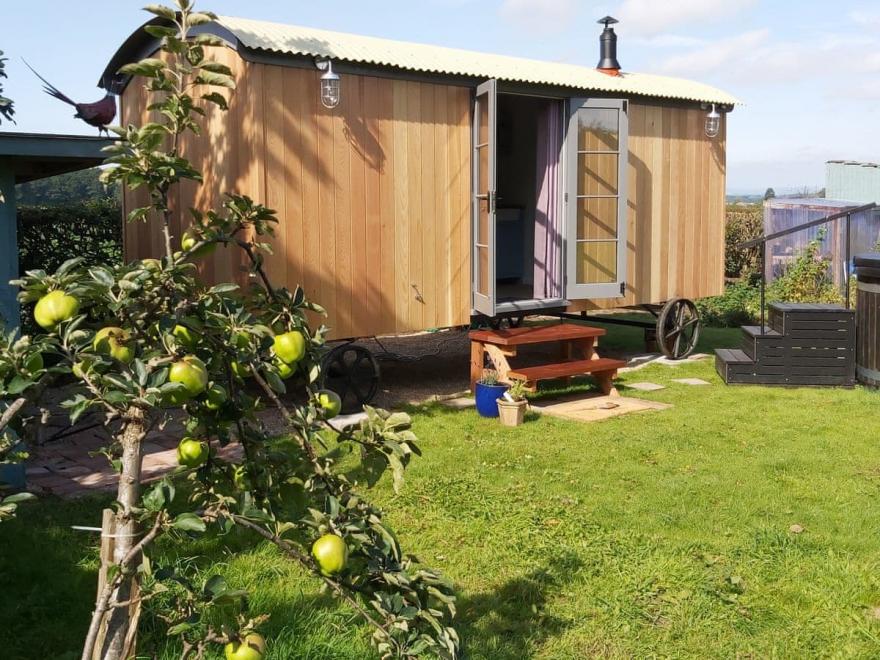 Pheasant's Roost UK12388