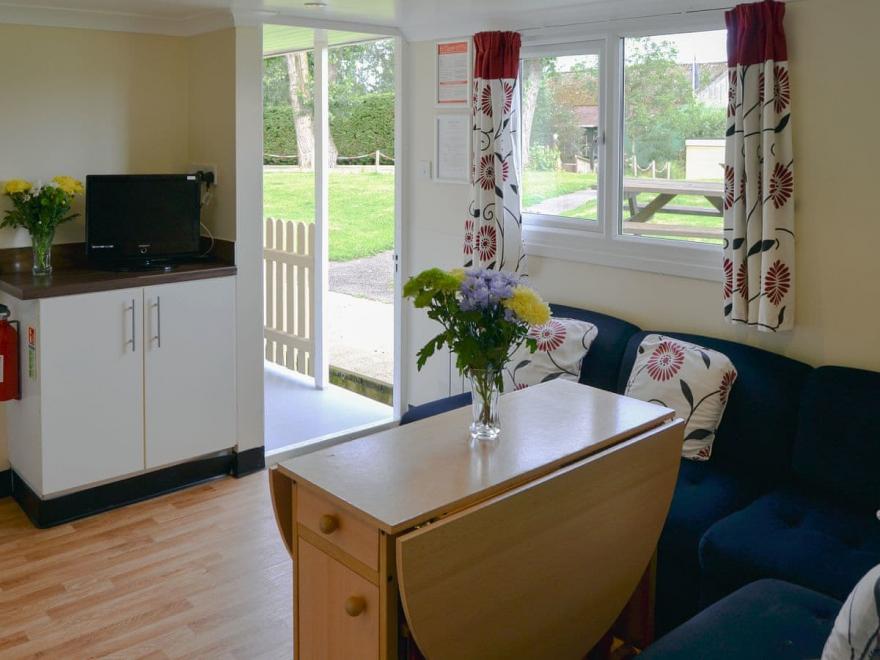 White Moth - UK12697