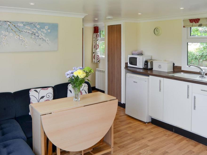 White Moth - UK12697