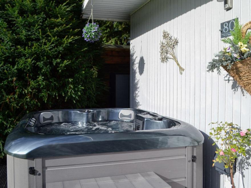 Woodland Forest-UK12976