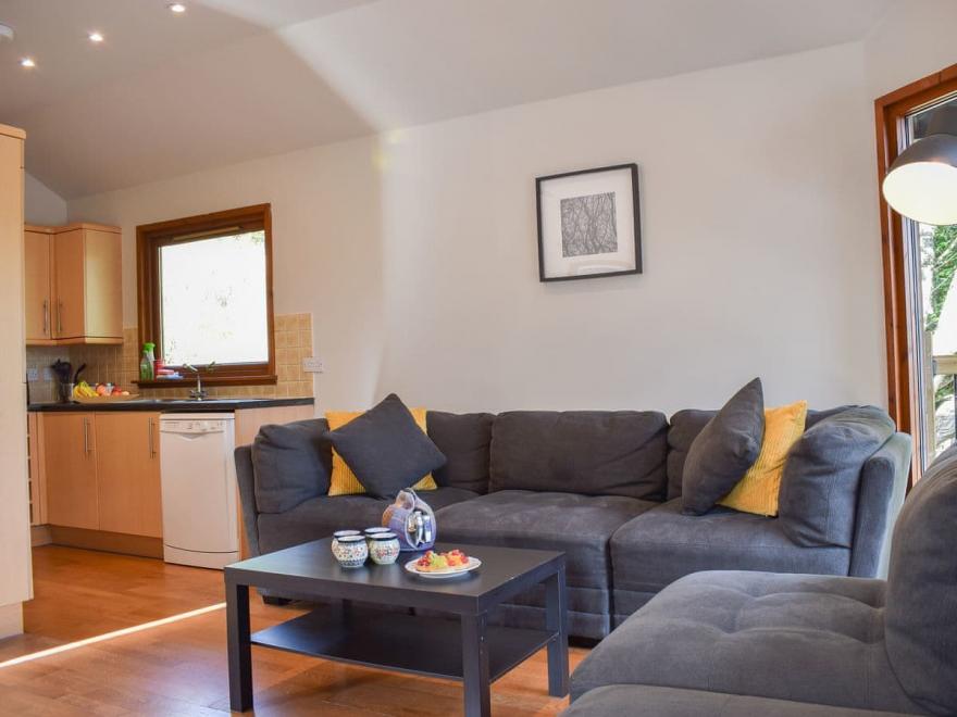 Drummond Chalet - UK13009