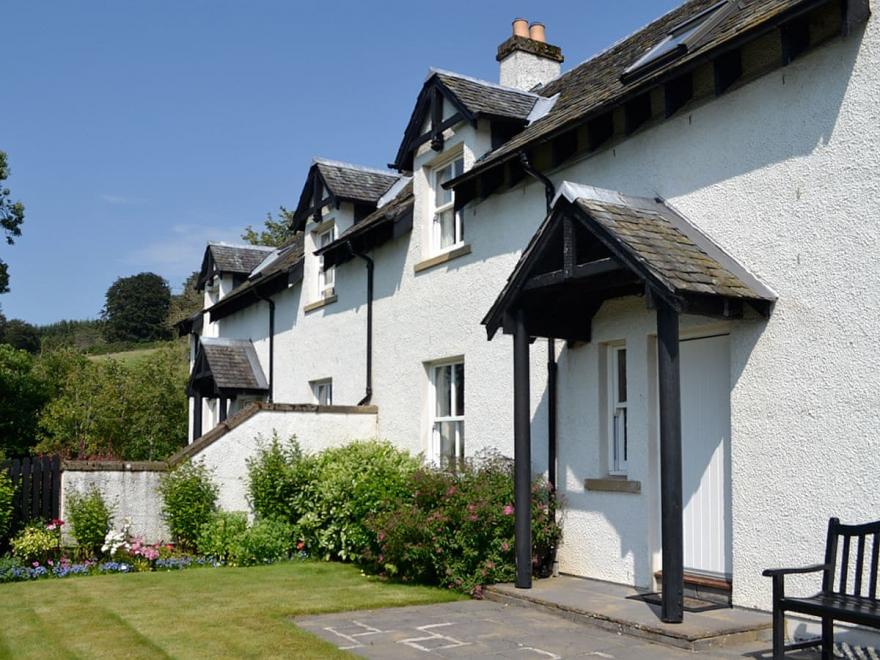 Thistledown - UK13034