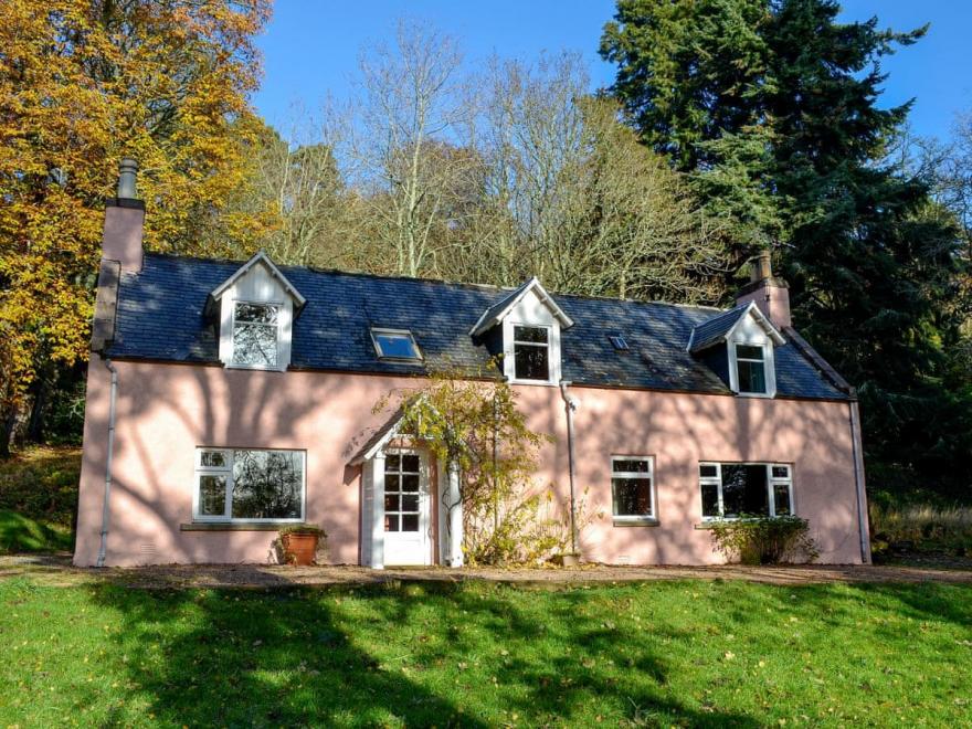 Deer Park Cottage - UK13046