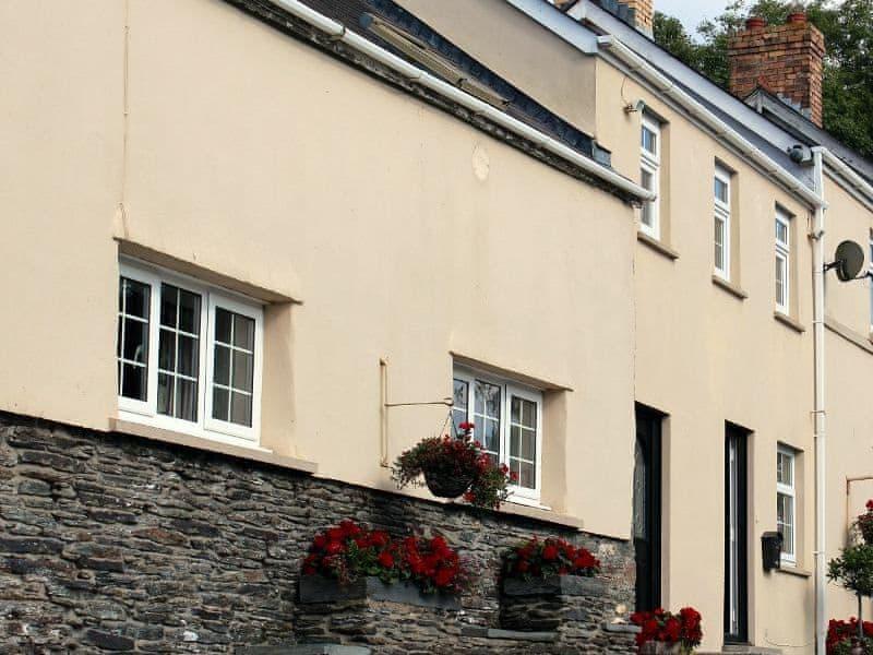 The Cathouse - UK13184