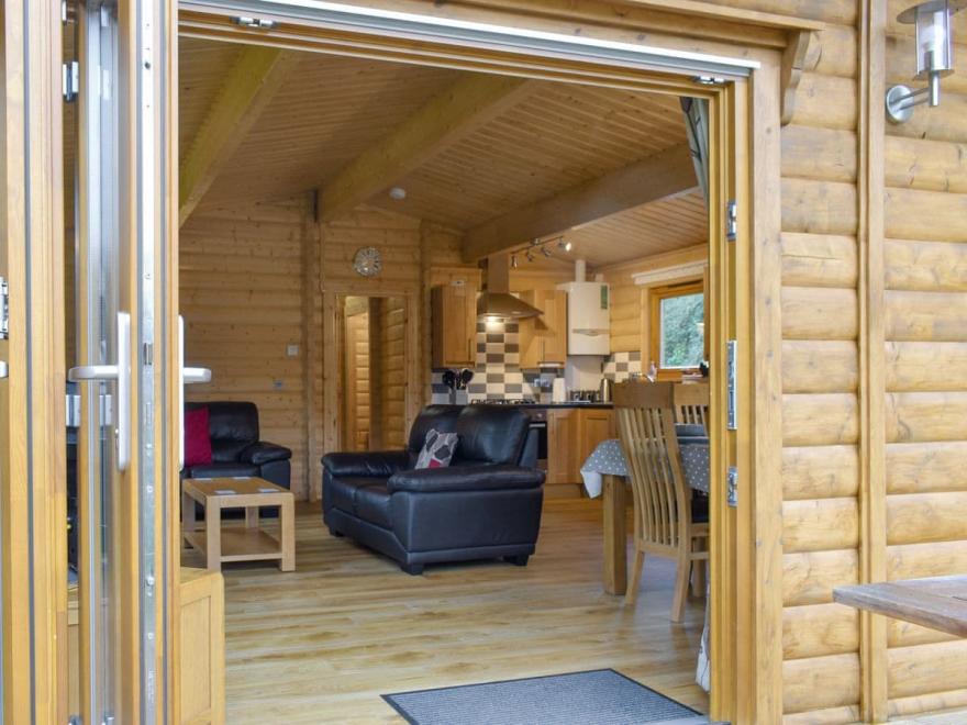 Kingfisher - UK13230