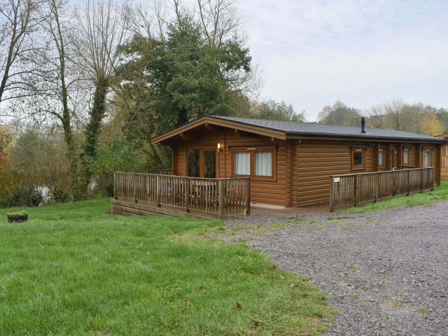 Kingfisher - UK13230