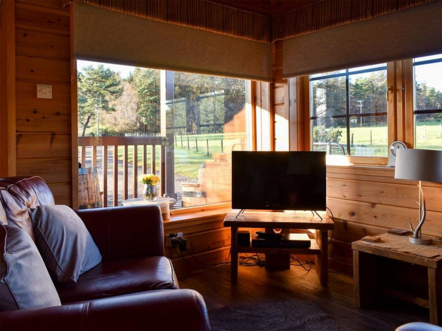 Red Squirrel Log Cabin