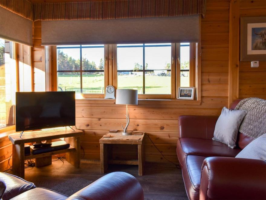 Red Squirrel Log Cabin