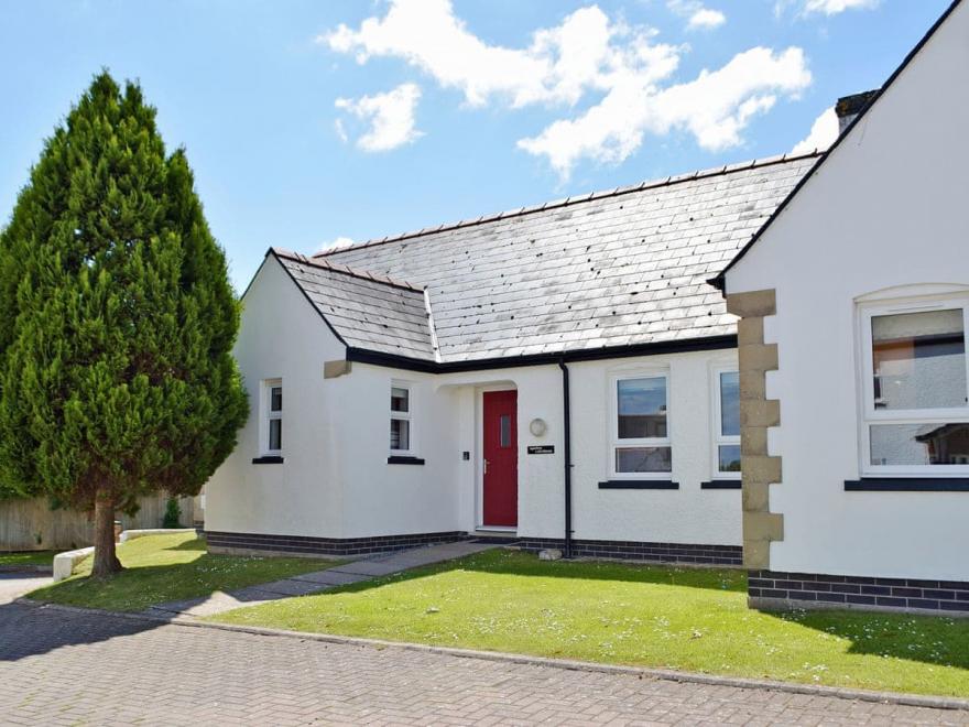 Oyster Catchers - UK6730