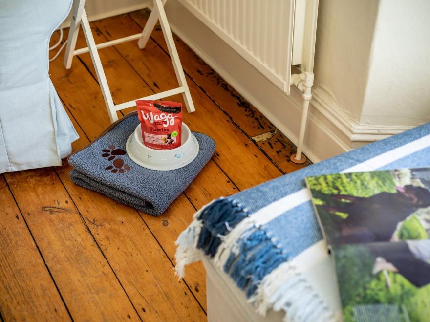 Cottage in Instow, North Devon
