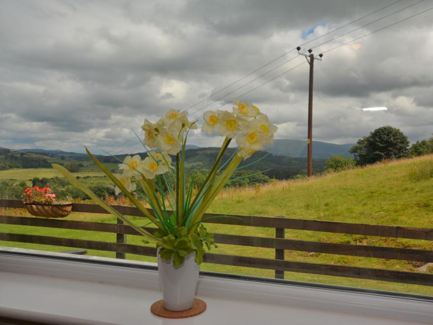 Cottage in Newton Stewart, Dumfries and Galloway