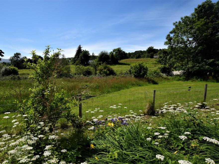 Cottage in Strontian, The Highlands