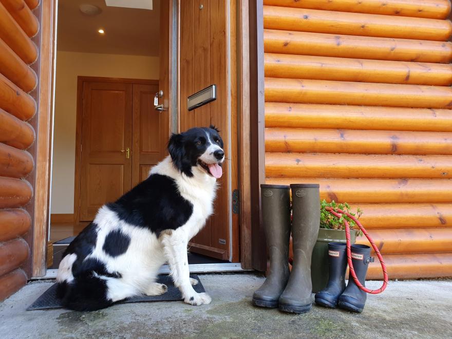 Cottage in Perth, Perth and Kinross