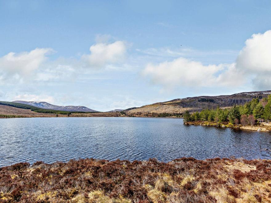 Cottage in Alness, The Highlands