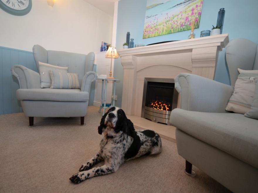Cottage in Brixham, South Devon
