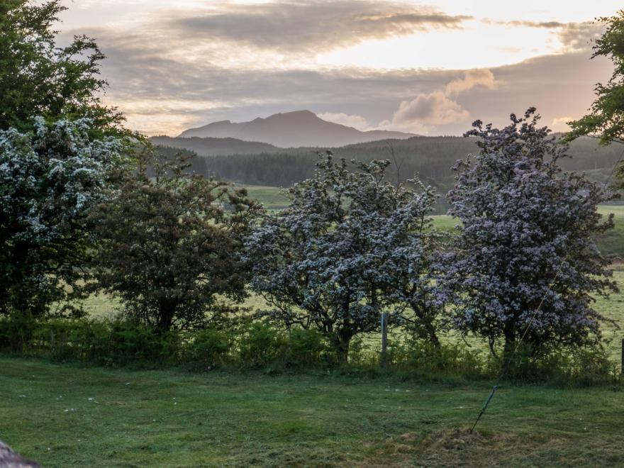 Cottage in Machrie, Isle of Arran