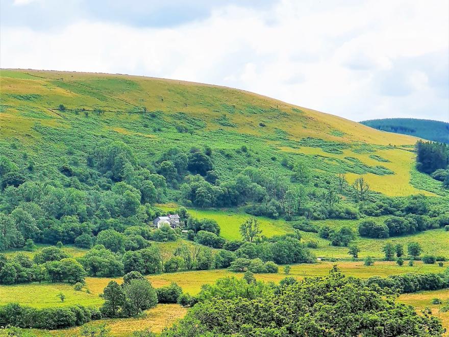 Cottage in Tregaraon, West Wales