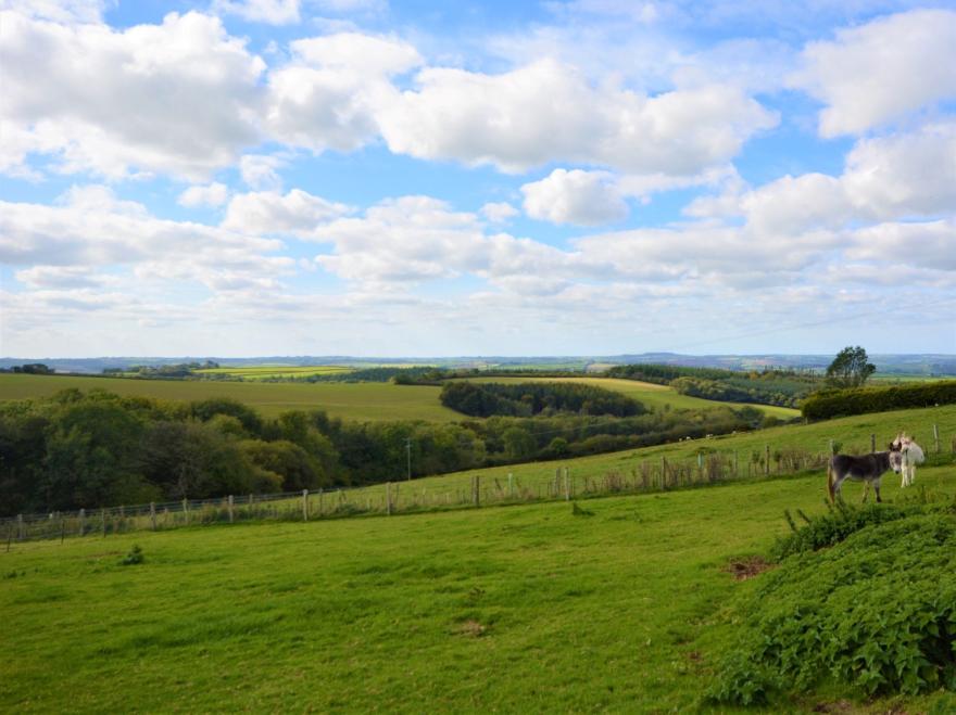 Cottage in Great Torrington, North Devon