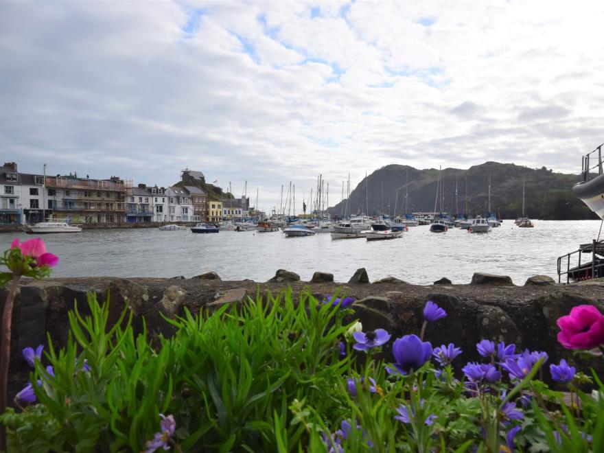 Cottage in Ilfracombe, North Devon