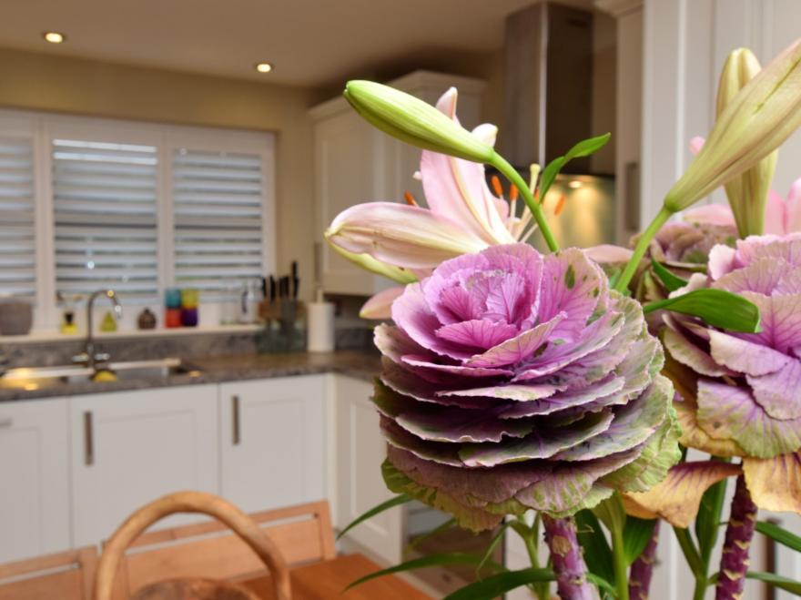 Cottage in Brockenhurst, Hampshire