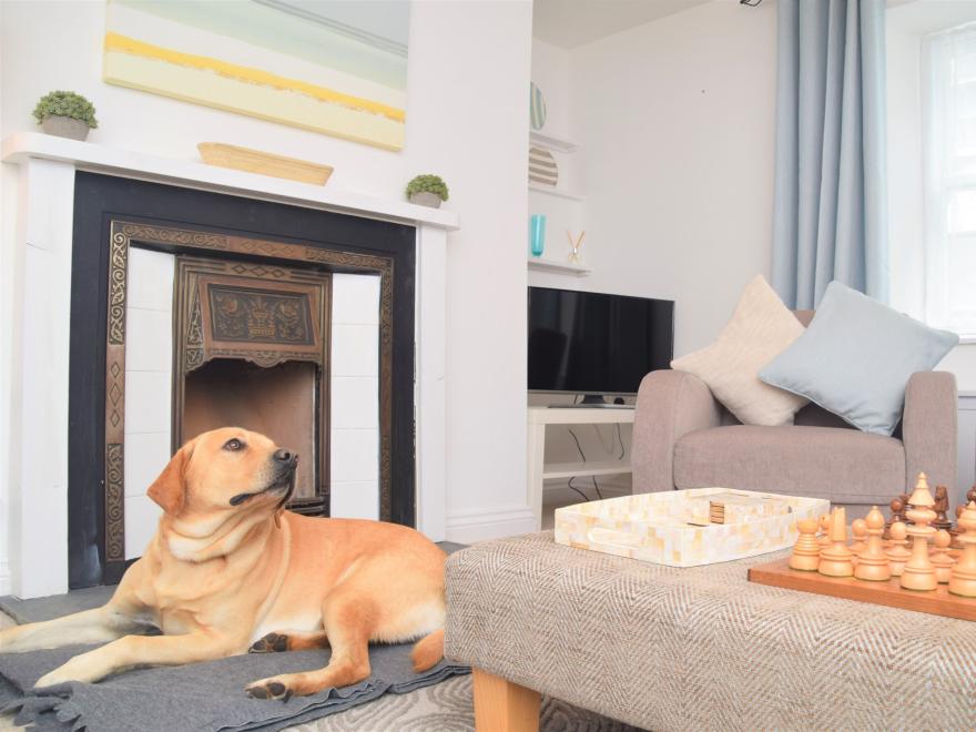 Cottage in Appledore, North Devon