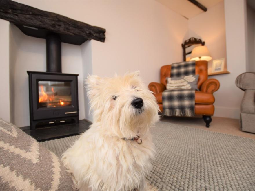 Cottage in Braunton, North Devon