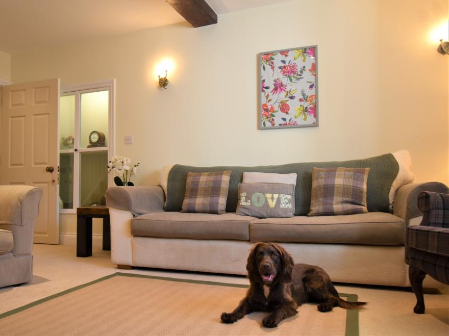 Cottage in Tiverton, Mid and East Devon