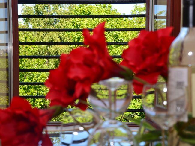 Apartment in Edinburgh, Edinburgh and Lothians