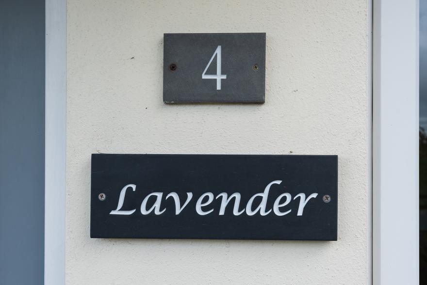 Lavender