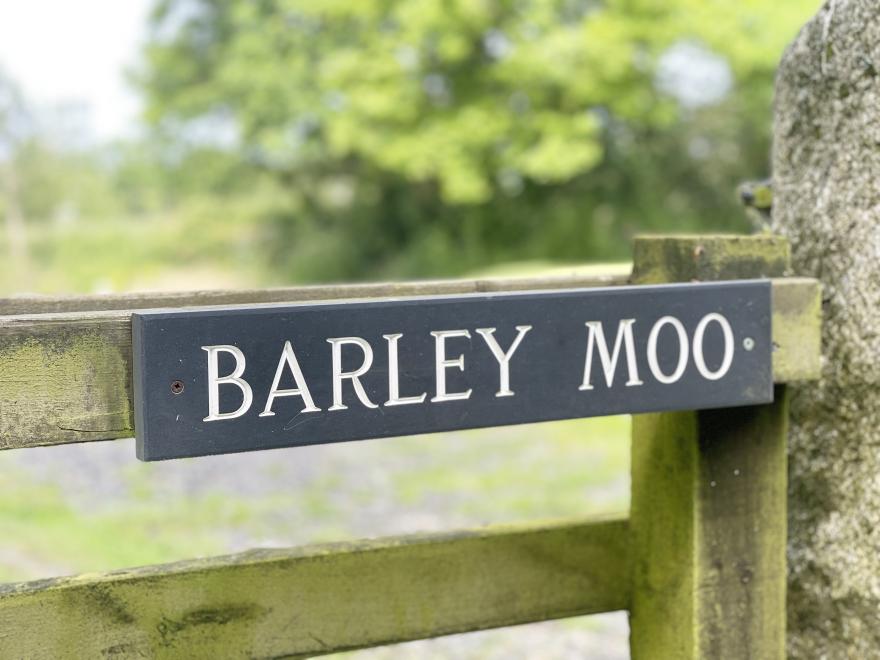 Barley Moo
