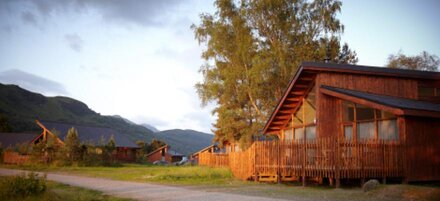 Golden Oak Lochside