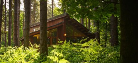 Golden Oak Hideaway