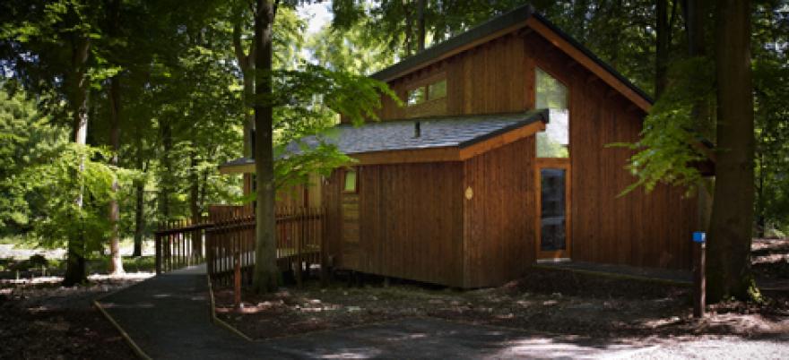 Wheelchair-adapted Silver Birch