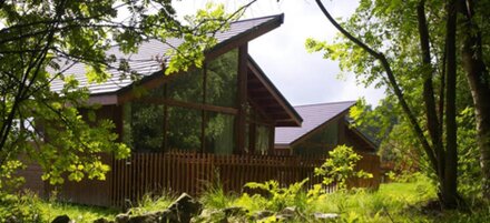 Golden Oak Hideaway