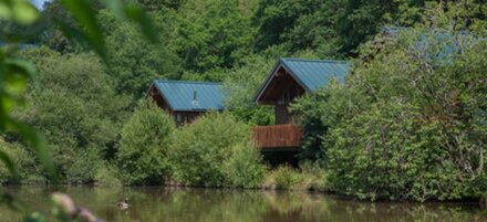 Golden Oak Waterside
