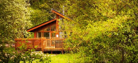 Golden Oak Hideaway