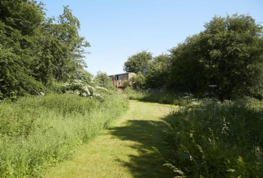 Elm Retreat