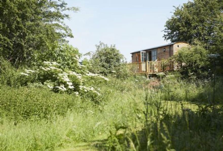 Rowan Retreat