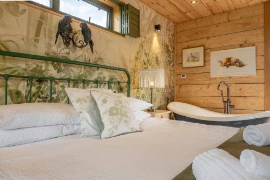 Olive Tree House