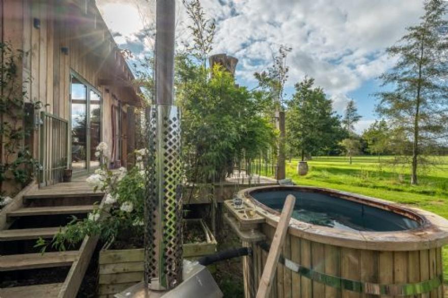 Olive Tree House