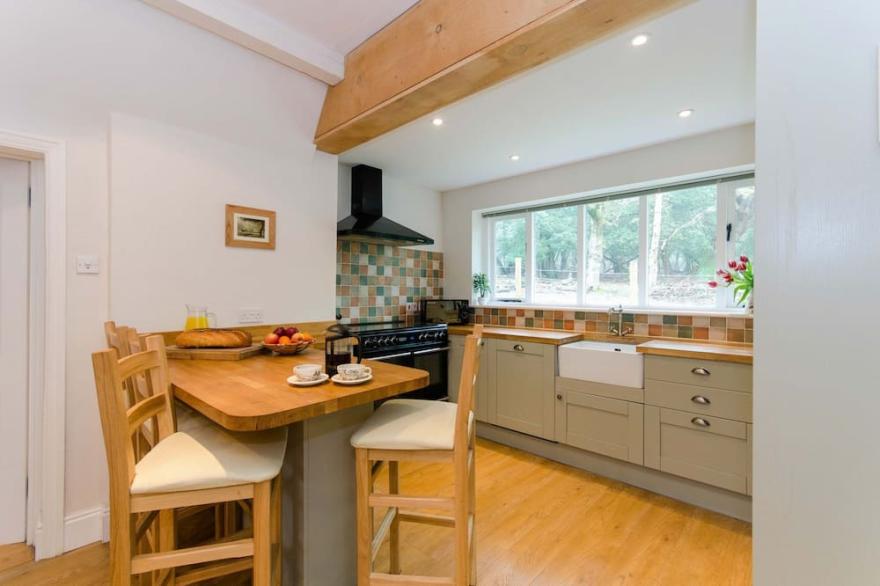 Luxury Forest Lodge with Games Room in Idyllic Location - Dog friendly, sleeps 8