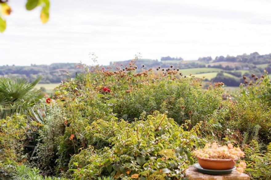 Honeysuckle Cottage - sleeps 4 guests  in 2 bedrooms