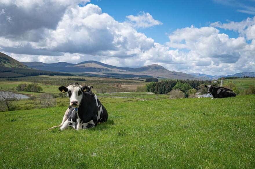 Pennine View -  Fantastic views with outdoor bathtub