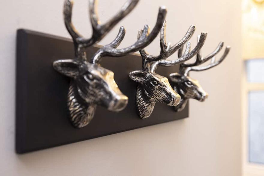 Stylish George Street Apartment